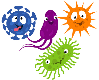 кишечные бактерии